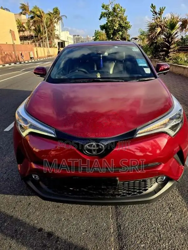 Toyota CHR 2019 SUV (Used)