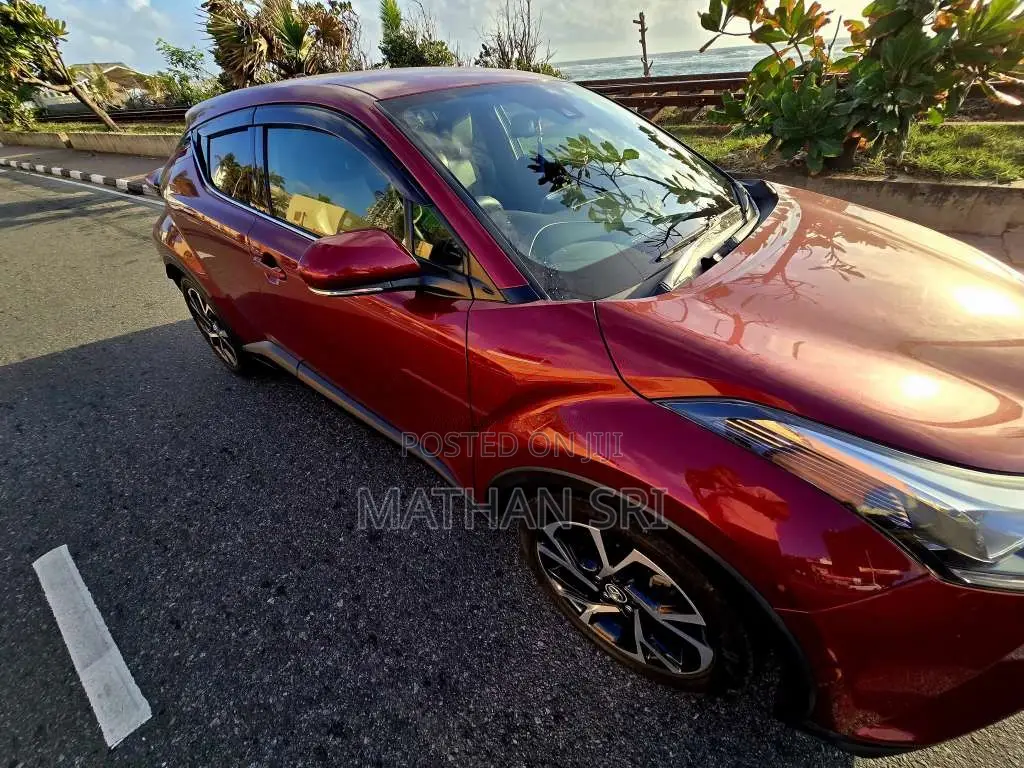 Toyota CHR 2019 SUV (Used)