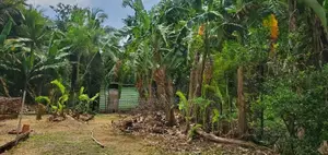 Super 32 Perches Land for Sale Maharagama