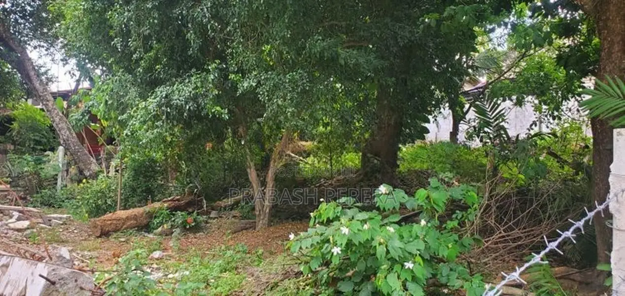 Super 32 Perches Land for Sale Maharagama