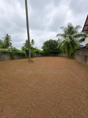 Valuable Land for Sale Thunbowila rd, Bokundara. Length 80ft Width 45f