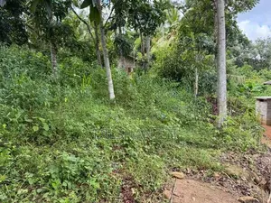 Land For Sale In Homagama