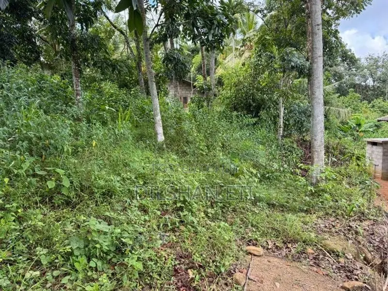 Land For Sale In Homagama
