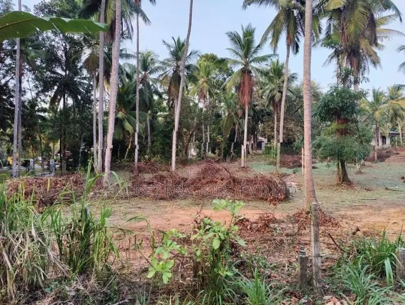 Prime Coconut Land For Sale – Mirigama