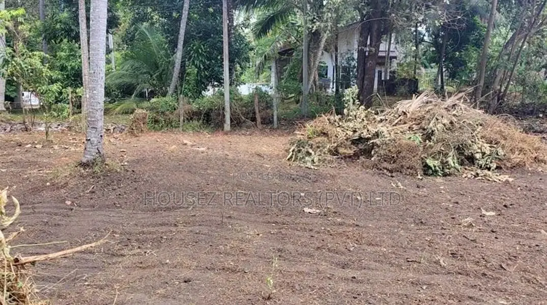 Prime Coconut Land For Sale – Mirigama