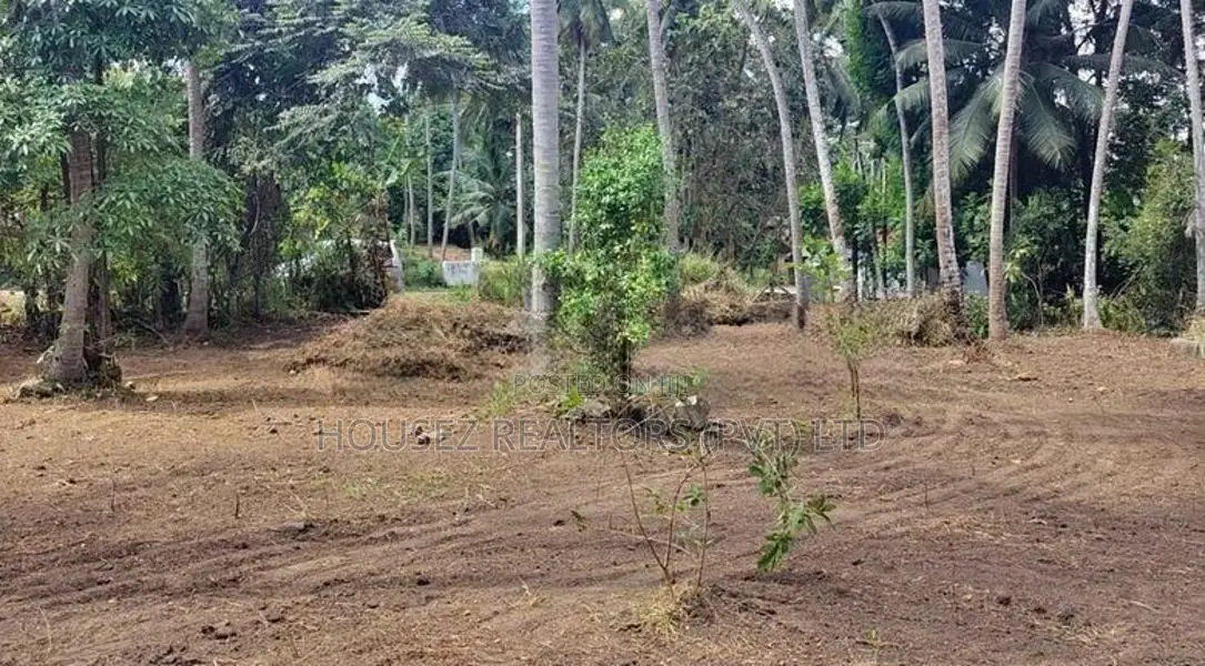 Prime Coconut Land For Sale – Mirigama