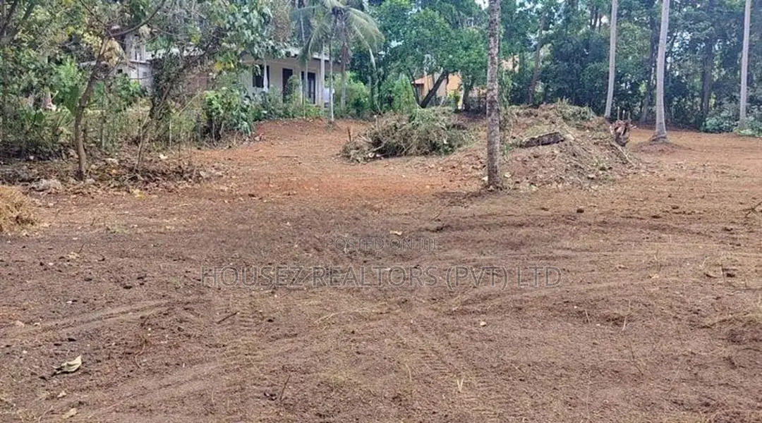 Prime Coconut Land For Sale – Mirigama