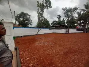 A Great Opportunity To Build Your Dream Home In Kelaniya