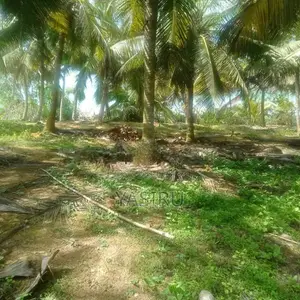 Land for Sale in Hambantota
