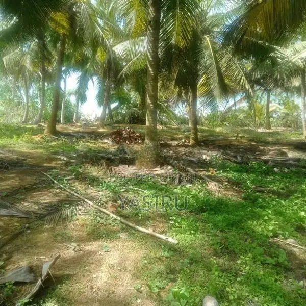 Land for Sale in Hambantota