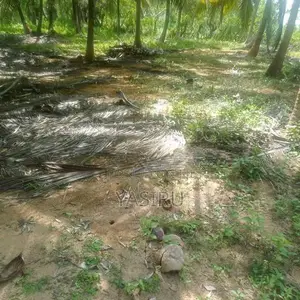 Land for Sale in Hambantota