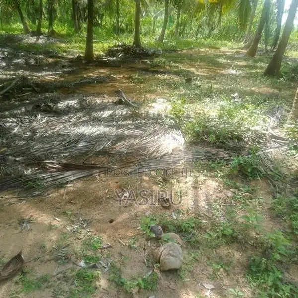 Land for Sale in Hambantota