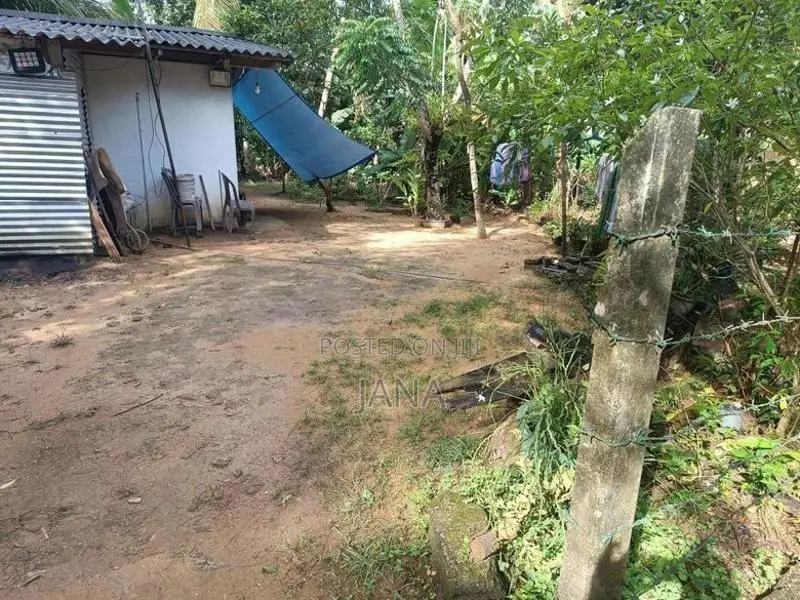 Nsbm හරිත සරසවියට ආසන්නව P37.4 ඉඩම විකිණීමට - හෝමාගම