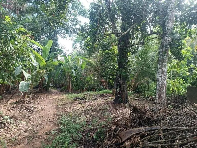Nsbm හරිත සරසවියට ආසන්නව P37.4 ඉඩම විකිණීමට - හෝමාගම
