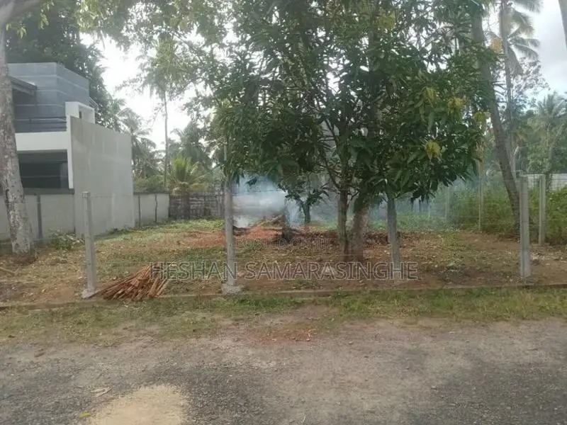 Land For Sale In Mawaramandiya 10 Perch