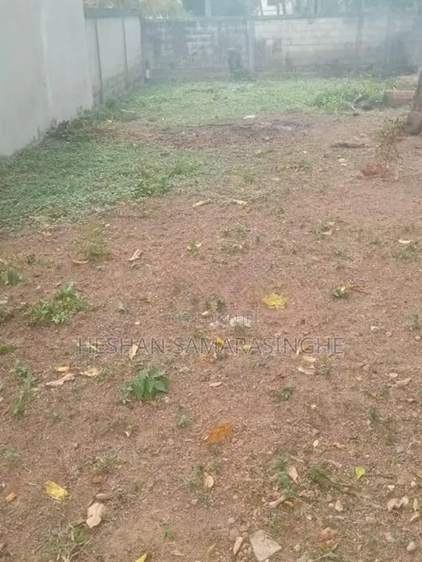 Land For Sale In Mawaramandiya 10 Perch