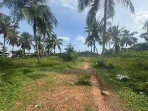Land For Rent In Biyagama