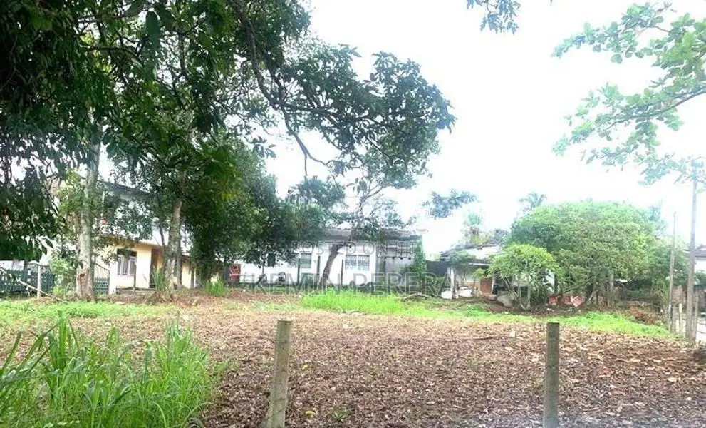 50 Perch Land For Sale Hokandara In Colombo 5