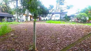 50 Perch Land For Sale Hokandara In Colombo 5
