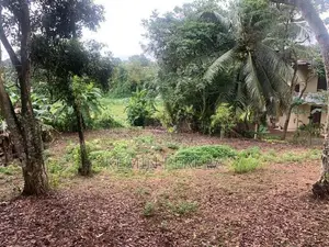 50 Perch Land For Sale Hokandara In Colombo 5