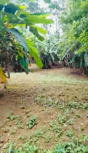 Land For Sale In Matale Town
