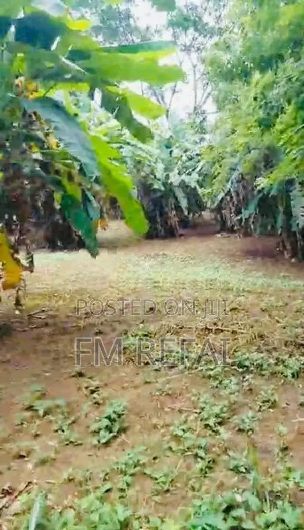 Land For Sale In Matale Town