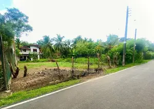 හෝමාගම හබරකඩ අගනා ඉඩමක් විකිණීමට