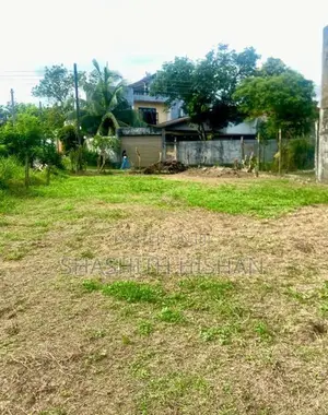 හෝමාගම හබරකඩ අගනා ඉඩමක් විකිණීමට