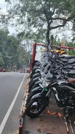 Bajaj Platina 100 2026