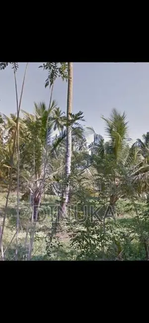 Near Kuliyapitiya Land For Sale