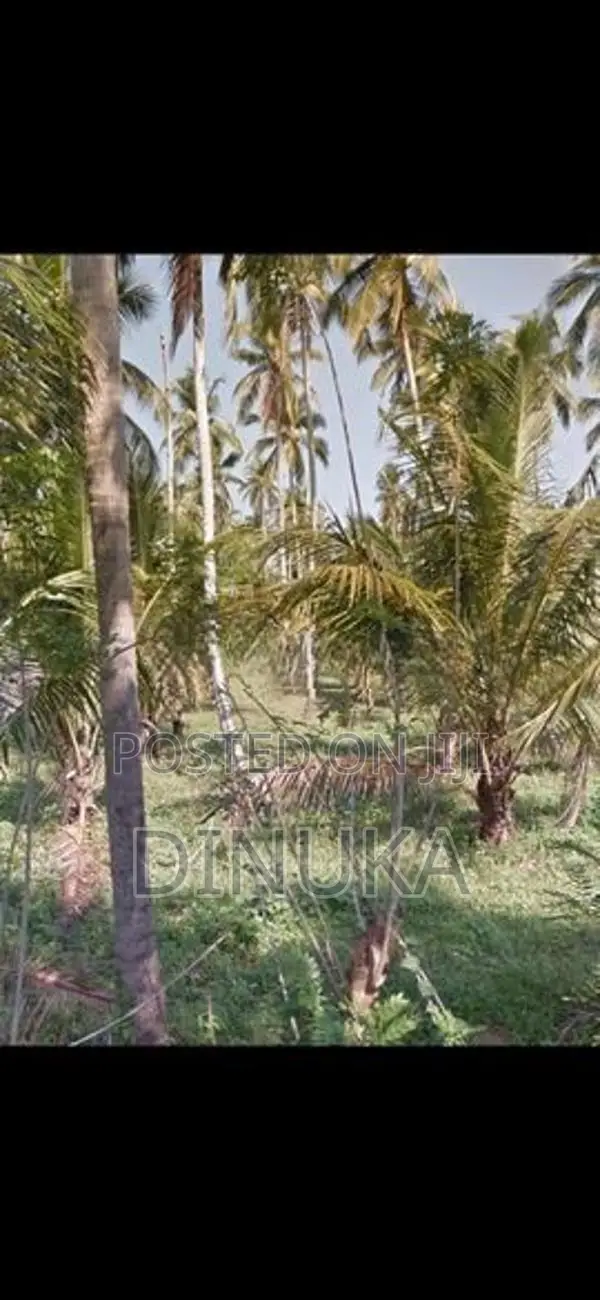 Near Kuliyapitiya Land For Sale