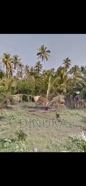 Near Kuliyapitiya Land For Sale