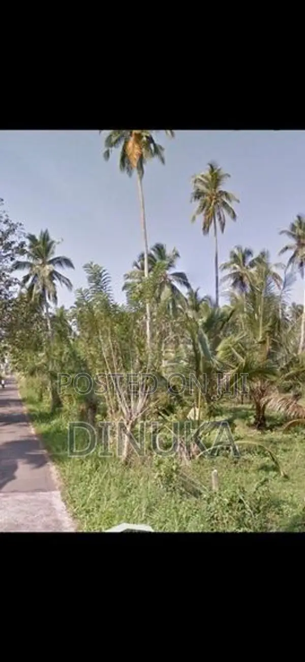 Near Kuliyapitiya Land For Sale