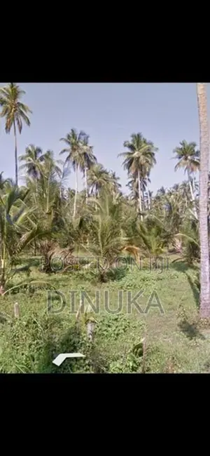 Near Kuliyapitiya Land For Sale