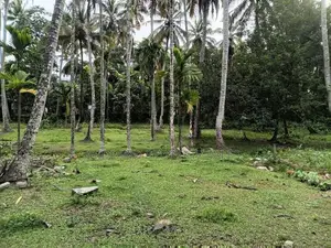 Land In Kandana
