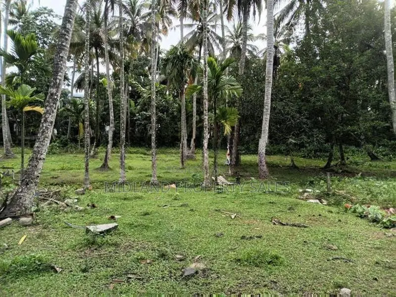 Land In Kandana
