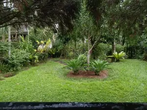 Land In Kandana