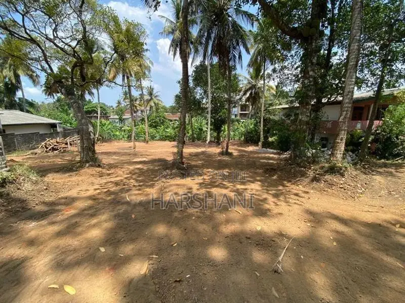 7.5P Superb Land - Walking Distance to High Level Road, Pannipitiya