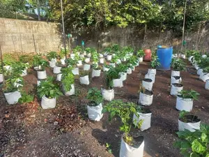 10P Bare Land For Sale In Hokandara