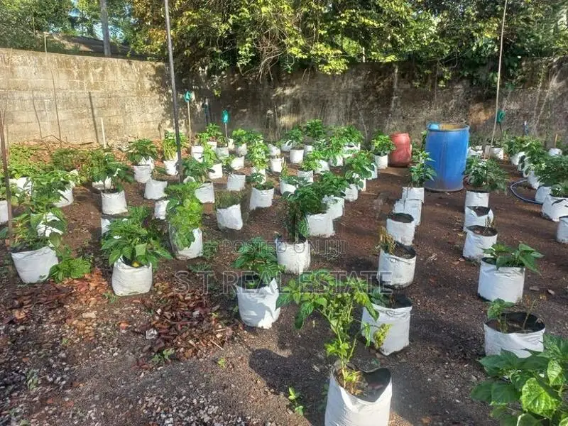 10P Bare Land For Sale In Hokandara
