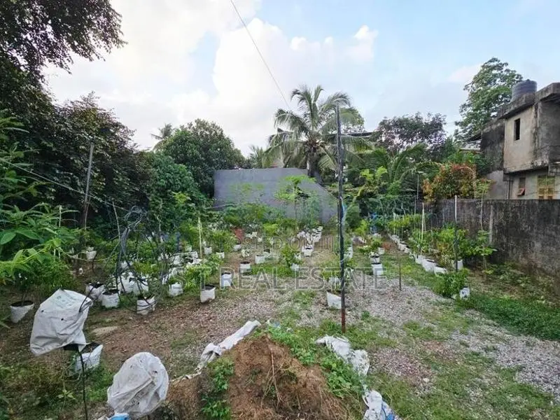 10P Bare Land For Sale In Hokandara