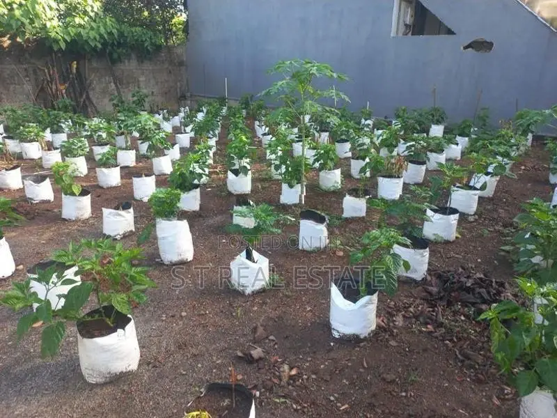 10P Bare Land For Sale In Hokandara