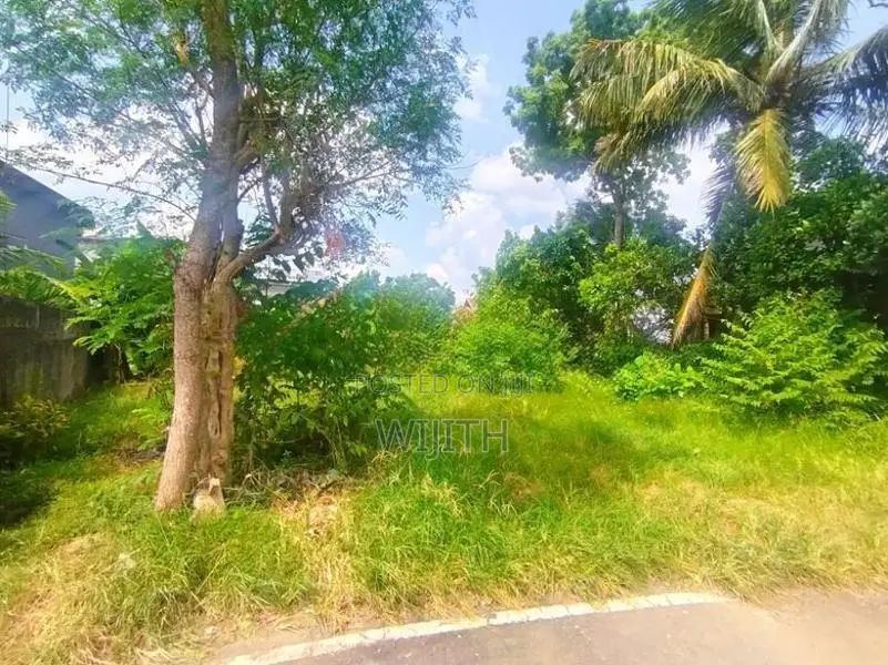 Supar Land for sale in palwatha Rathnayaka Mawatha