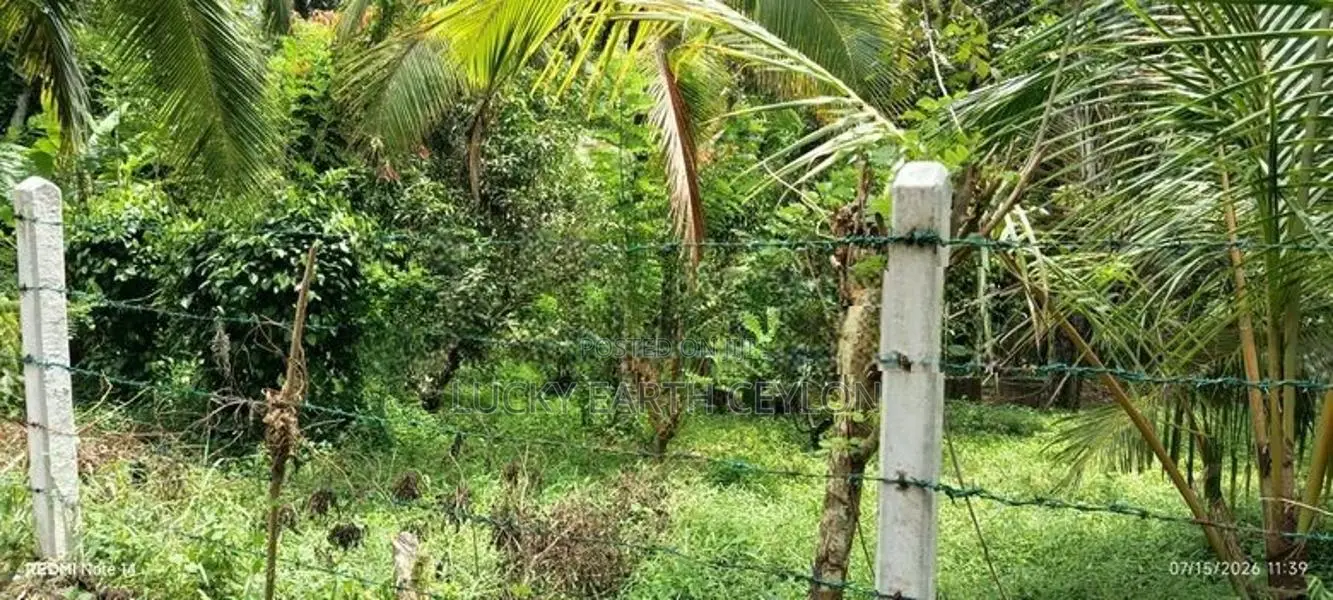 Sale, Kottawa Rectangle Shaped Land For Sale (NZMS3071)