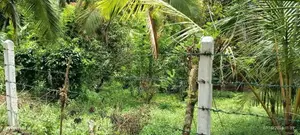 Sale, Kottawa Rectangle Shaped Land For Sale (NZMS3071)