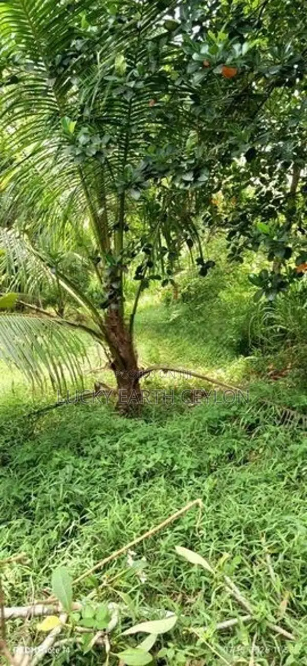 Sale, Kottawa Rectangle Shaped Land For Sale (NZMS3071)