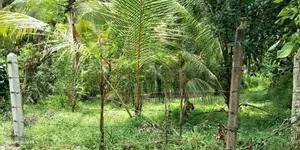 Sale, Kottawa Rectangle Shaped Land For Sale (NZMS3071)