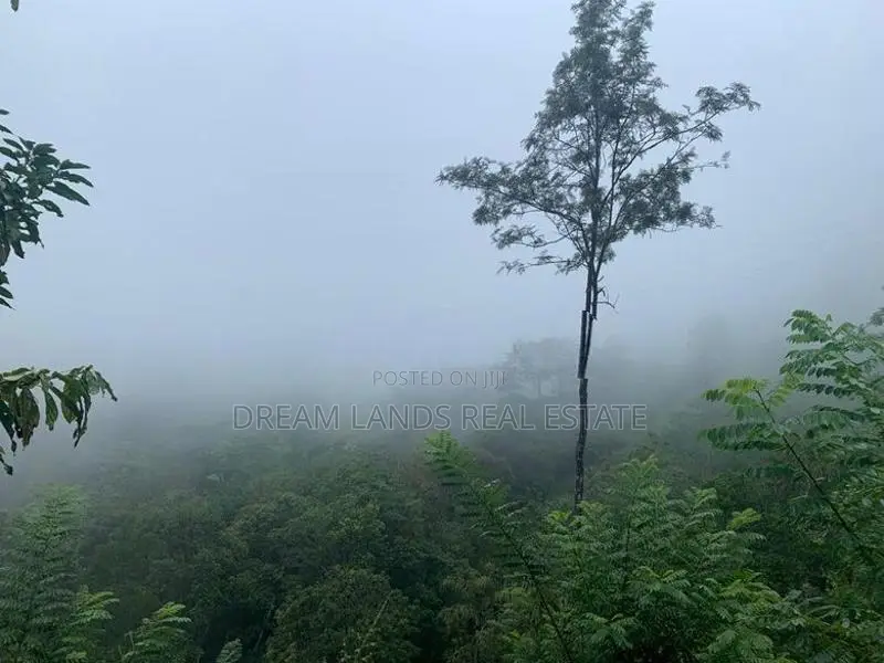 KANDY Galaha ( BELL WOOD ) Agricultural Land for Sale