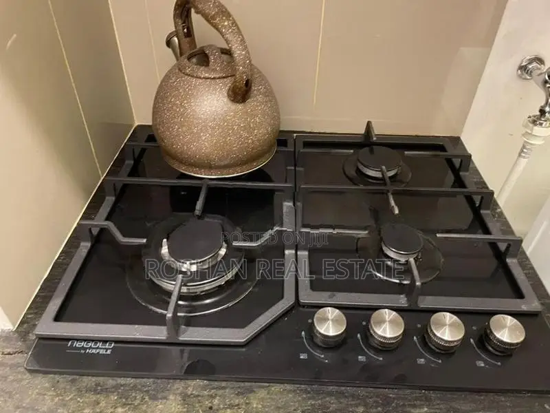 FULLY FURNISHED FLEMINGTON APARTMENT FOR RENT MARDANA SA2805