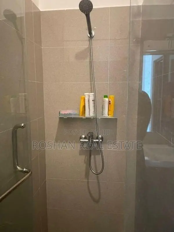 FULLY FURNISHED FLEMINGTON APARTMENT FOR RENT MARDANA SA2805